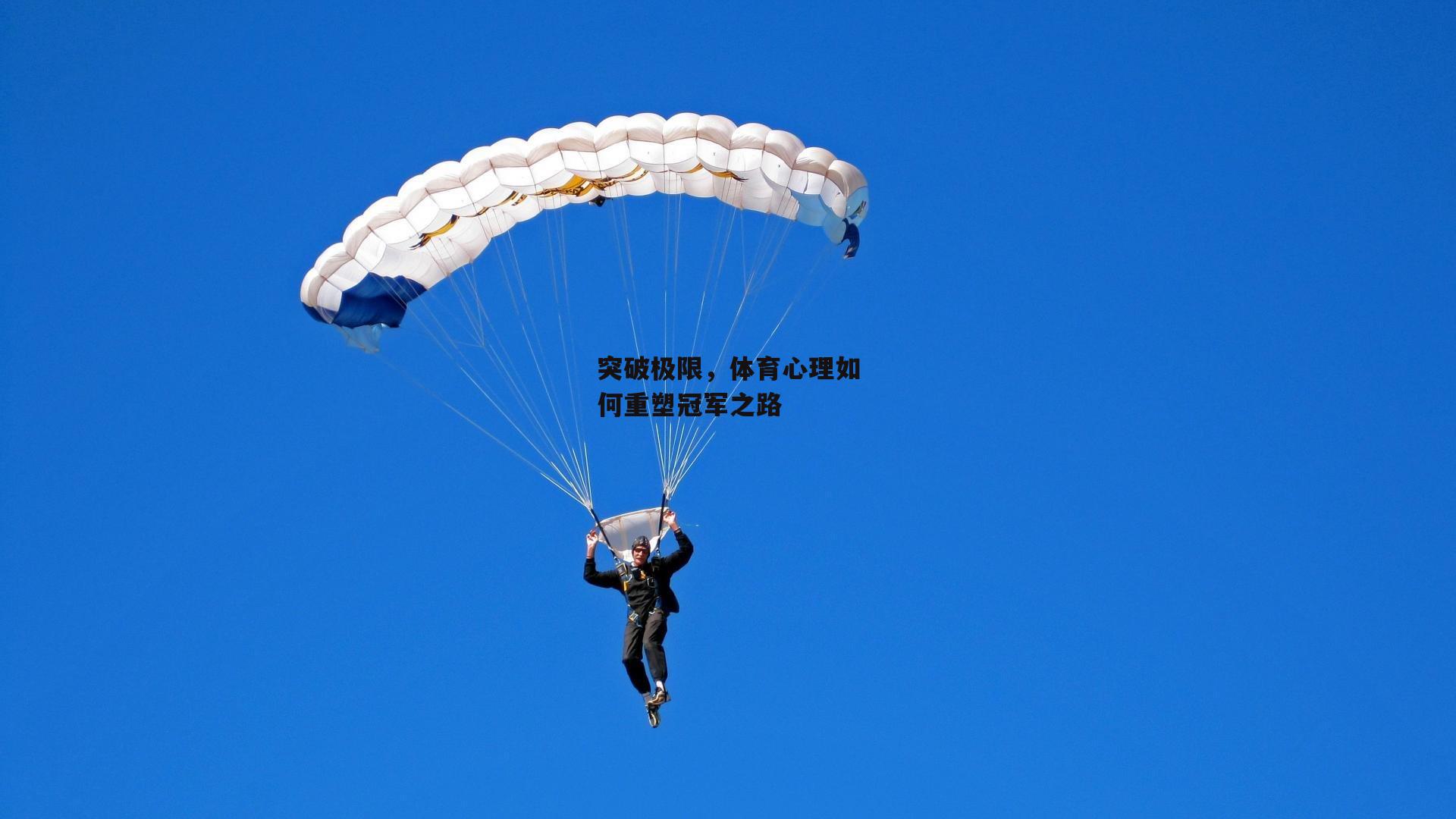 突破极限,体育心理如何重塑冠军之路