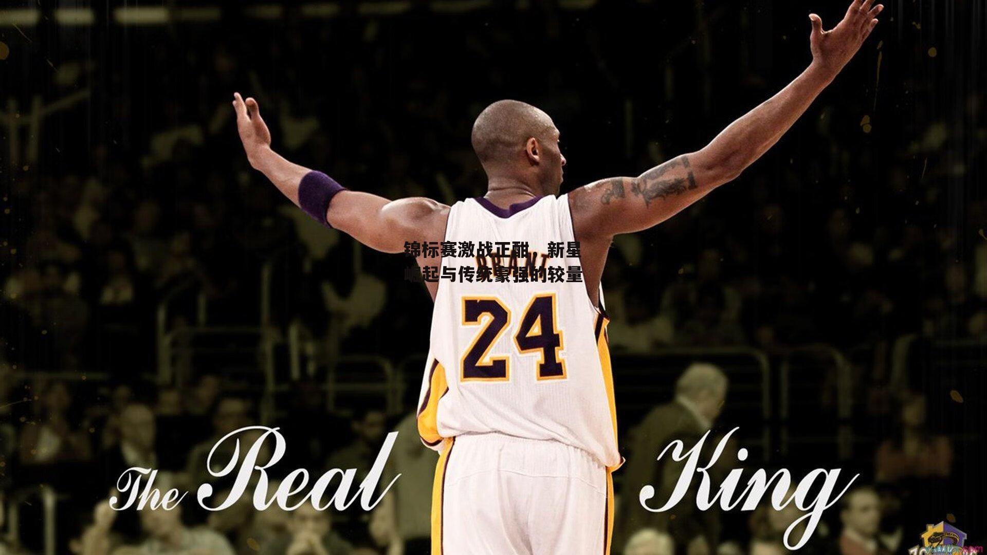 锦标赛激战正酣，新星崛起与传统豪强的较量【B体育官方网站】